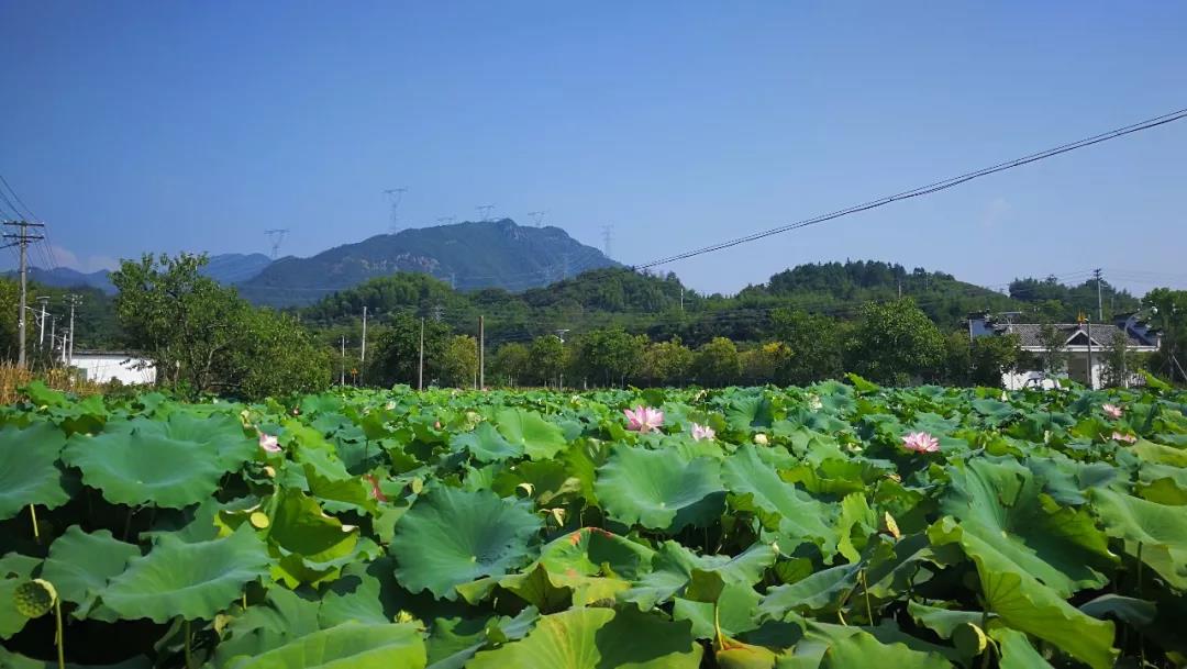 微信圖片_20180813094205.jpg 微信圖片_20180813094205.jpg